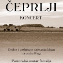 Koncer klape Čeprlji u Novalji 