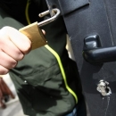 Krađe od drva do automobila 