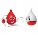 Akcija dobrovoljnog darivanja krvi u Korenici 