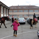 Bajkovita konjska pustolovina 