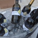 Drugi međunarodni festival vina i hrane WINE FASHION SHOW u Novalji 