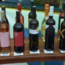 Drugi međunarodni festival vina i hrane WINE FASHION SHOW u Novalji 