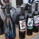 Drugi međunarodni festival vina i hrane WINE FASHION SHOW u Novalji 