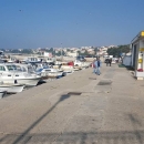 Javni poziv za članove Savjeta mladih u Novalji