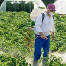 Edukaciju o održivoj uporabi pesticida u Brinju 