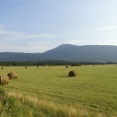 Predavanje o IAKS mjerama ruralnog razvoja u Otočcu