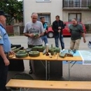 Manje oružja, manje tragedija u Perušiću