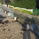 Snaga prirode čini čuda i u Novalji 