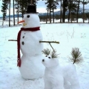 Možda ovakvog snjegovića?
