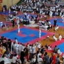 Taekwondo Brinje na turniru „Croatia Karlovac Open 2016.“ 
