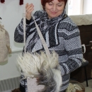 Gačankina božićna priča o vuni