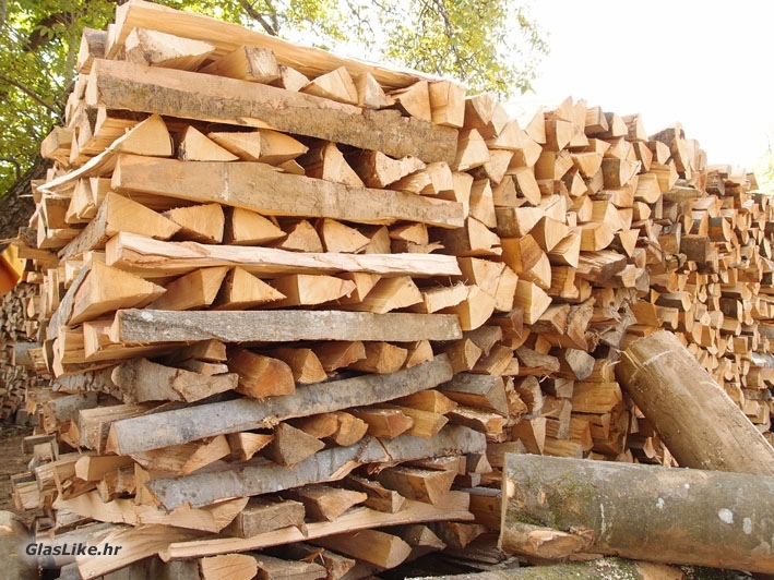 Bukva je na cijeni tatova