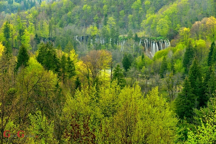 Kad se upadne u negativnu medijsku pozornost