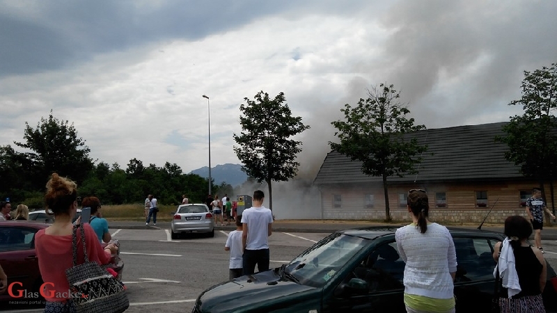 Turisti ovakav prizor na odmorištu nisu očekivali... Turisti ovakav prizor na odmorištu nisu očekivali...