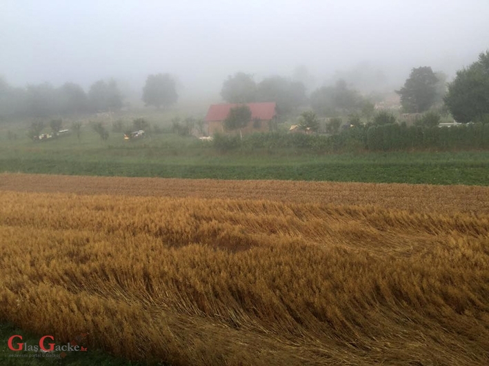 Andiamo a mietere il grano