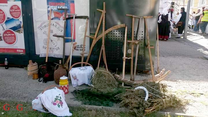 KUD Dangubice iz Kutereva na Vinkovačkim jesenima KUD Dangubice iz Kutereva na Vinkovačkim jesenima