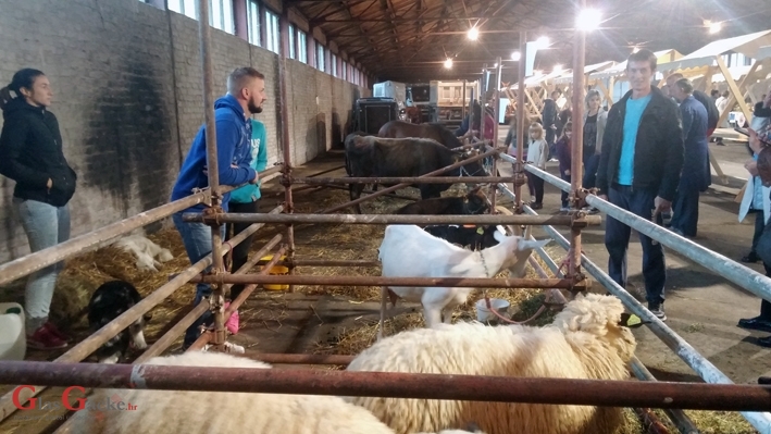 Gradska farma umjesto u parku u paviljonu