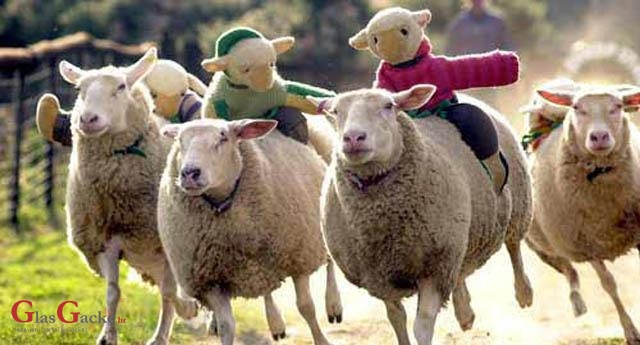 Nismo znali - majke mi!