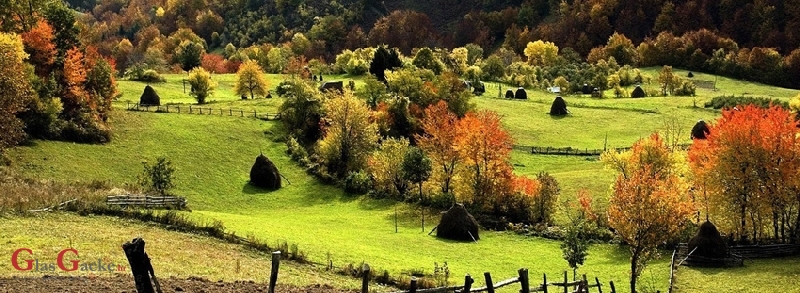 Objava natječaja za mjeru 7.4.1. - ruralni razvoj