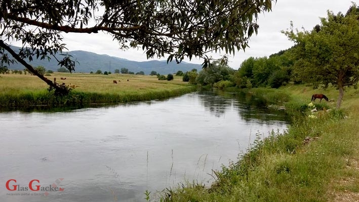 Na što sve konj može izići kad ...
