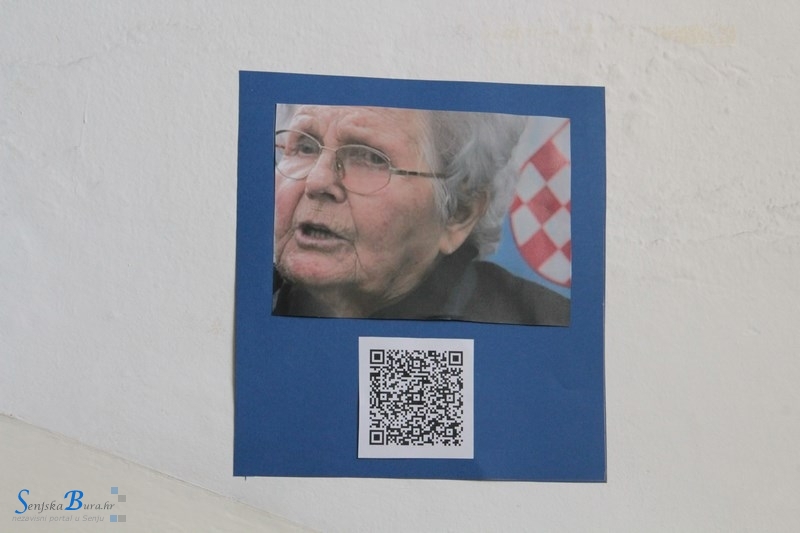 Vukovar u Domovinskom ratu
