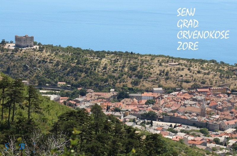 Knjigom za knjigu - podržite našu Zoru !!