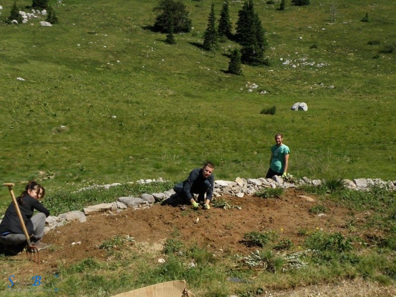 U NP Sjeverni Velebit uspješno završen ovogodišnji volonterski program