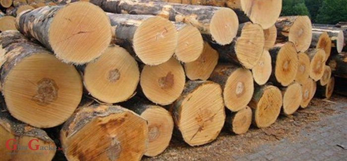 U Vrhovinama otuđio 20 stabala bukve i javora U Vrhovinama otuđio 20 stabala bukve i javora