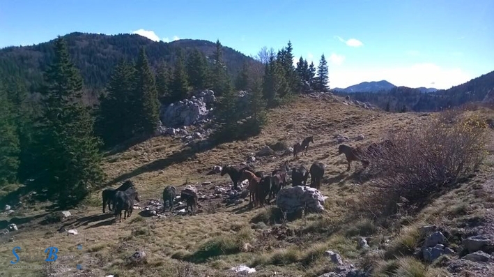 Jutros na Velebitu (pre)krasno jutro