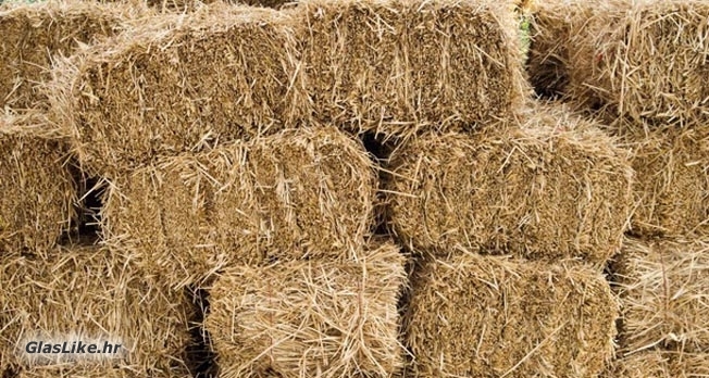 Kradu sijeno!