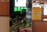 Otvorenje infotočke LIFE DINALP BEAR u Hotelu Jezero Otvorenje infotočke LIFE DINALP BEAR u Hotelu Jezero