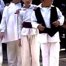 Lipa iz Sinca na Plitvičkim jezerima