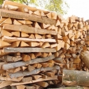 Bukva je na cijeni tatova