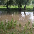 Zamućena Gacka
