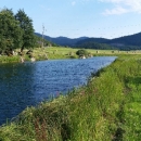 Kako to vide gosti