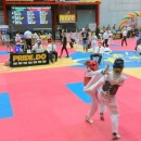 Teakwondo klub "Senj" na Jastreb openu