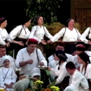 KUD Dangubice na Vinkovačkim jesenima