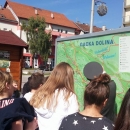 Mladi Kastavci i Domovinski rat u Gackoj