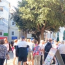 Senjsko bablje ljeto