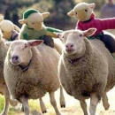 Nismo znali - majke mi!