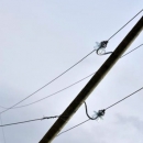 U Podgorju ima šteta na električnim vodovima