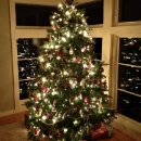 Do ekumene - preko bora