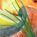 Besplatna HACCP radionica u HGK
