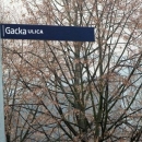 Jeste li znali za Gacku ulicu u Zagrebu?