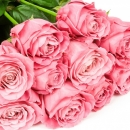 Žene, čestitamo vam Dan žena