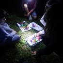O leptirima u Noći leptira u NP Plitvička jezera