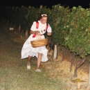 Veselo u Pavlomiru