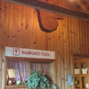 "Razbijači čaša" snimili spot za "Etno pjesmu" 