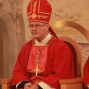 Biskup Križić predvodio svetu misu na blagdan sv. Stjepana Prvomučenika u Otočcu