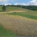 Prve isplate općinama za ruralni razvoj